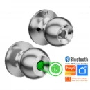 SmarDeer-Fingerprint-Lock-for-Tuya-Smart-Lock-with-Bluetooth-Door-Lock-Keyless-Entry-with-Fingerprint-and