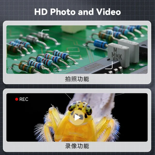 kf-Sf13c31d7c62c476b8dc97e8d7c2ff422c
