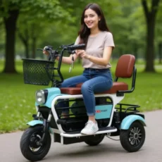 Foldable 3 Wheel Mobility Scooter Tricycle
