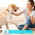 GPS-Dog-Tracker