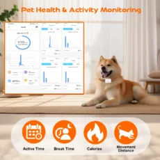 GPS Pet Tracker